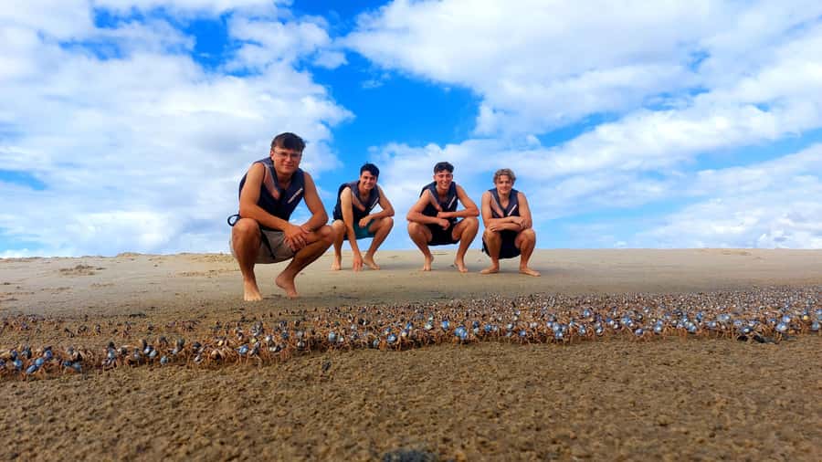 Gold Coast: Wave Break Island Kayaking & Snorkeling tour - Snorkelling over the sheltered reef