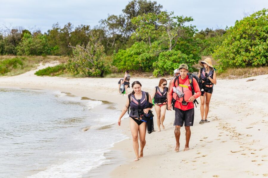 Gold Coast: Wave Break Island Kayaking & Snorkeling tour - A snack break with skyline views