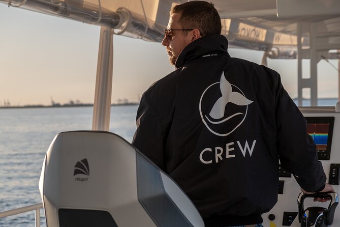 Gold Coast Whale Watching Cruise - Is $63.12 good value?