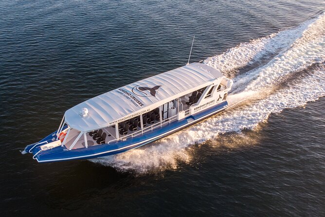 Gold Coast Whale Watching Cruise - Who will enjoy this cruise most?