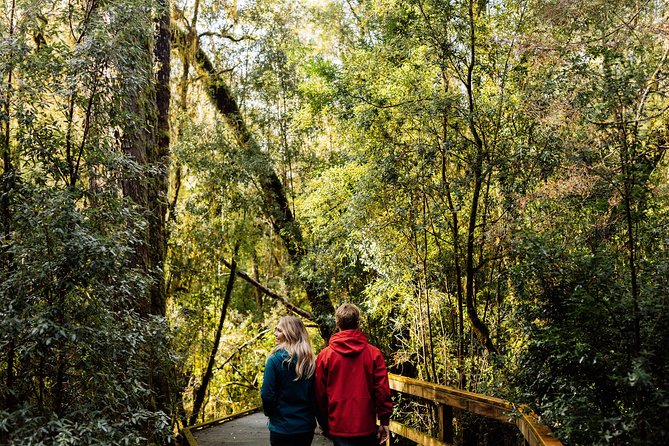 Gordon River Cruise departing from Strahan - Sarah Island gives the cruise its human story