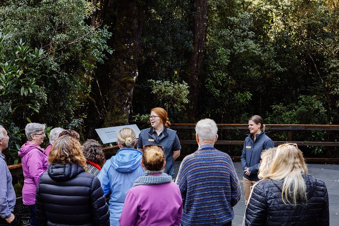 Gordon River Cruise departing from Strahan - Value at $111.17 and who should book