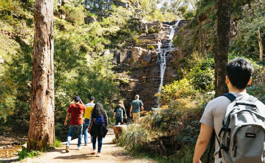 Grampians National Park Small-Group Eco Day Tour - Key points to know before booking