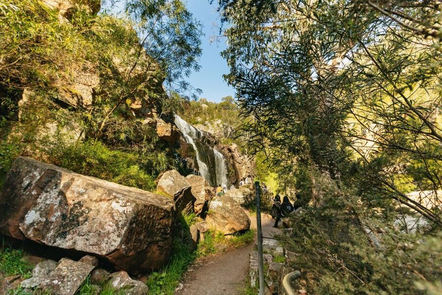 Grampians National Park Small-Group Eco Day Tour - MacKenzie Falls: the day’s main walk