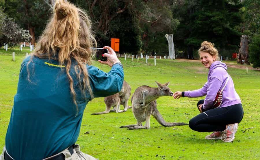 Grampians National Park Small-Group Eco Day Tour - Local guides shape the long hours