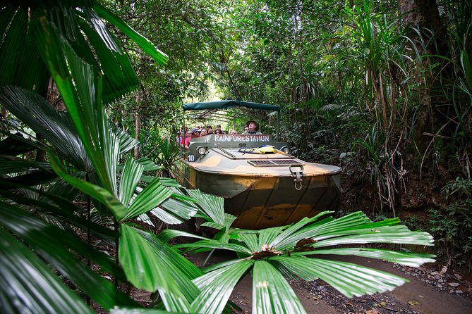 Grand Kuranda including Skyrail and Kuranda Scenic Railway - Key points to know before booking