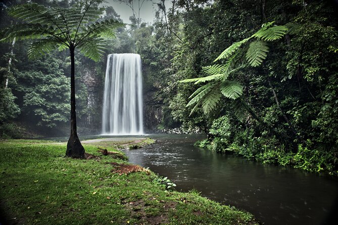 Grand Kuranda including Skyrail and Kuranda Scenic Railway - Who will enjoy this most?