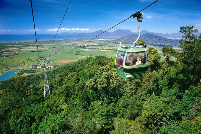 Grand Kuranda including Skyrail and Kuranda Scenic Railway - Blue butterflies and the Australian Butterfly Sanctuary