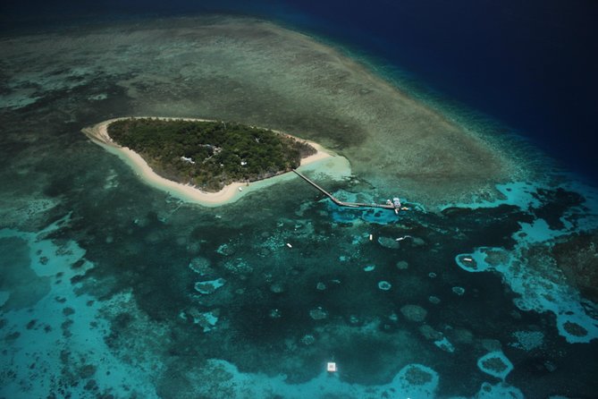 Great Barrier Reef 40 Minute Scenic Flight from Cairns - Reef Hopper - The value of the $185.77 price