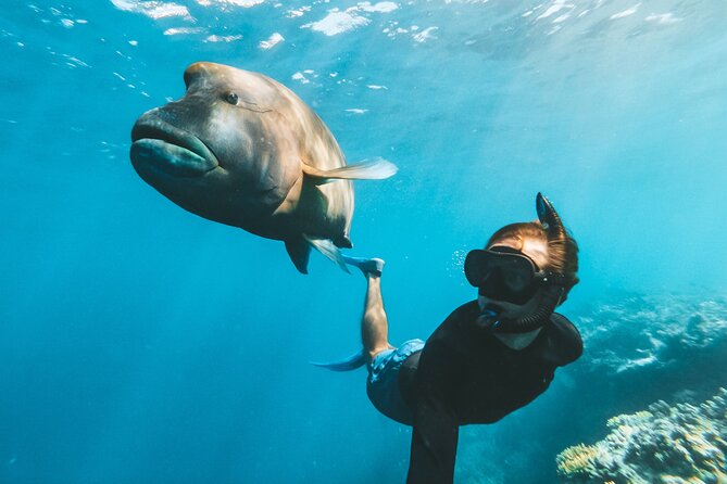 Great Barrier Reef Full Day Adventure - The semi-submersible and underwater observatory
