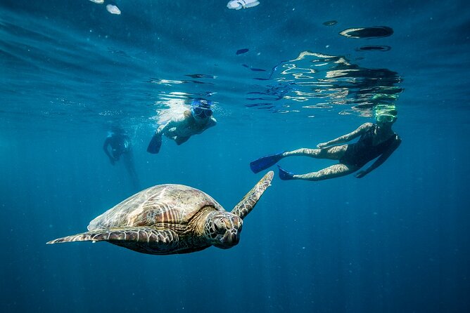 Great Barrier Reef Full Day Adventure - Who will get the most from this reef trip