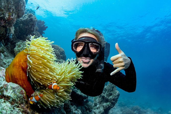 Great Barrier Reef Full Day Tour from Cairns - What the crew does well