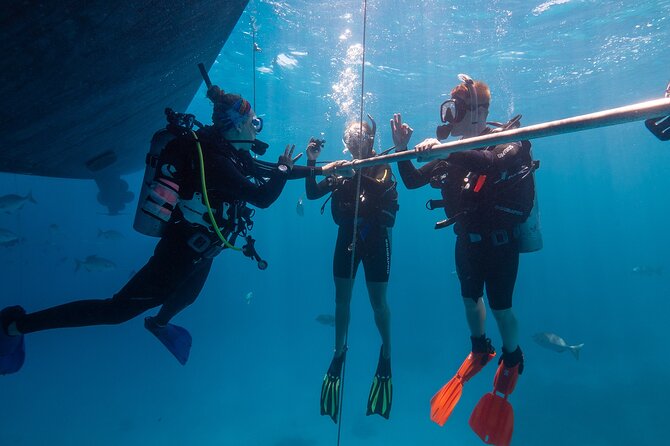 Great Barrier Reef Full Day Tour from Cairns - Motion sickness and sun protection