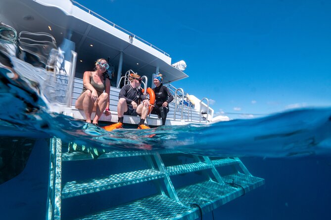 Great Barrier Reef Full Day Tour from Cairns - Who should book this Cairns reef trip?