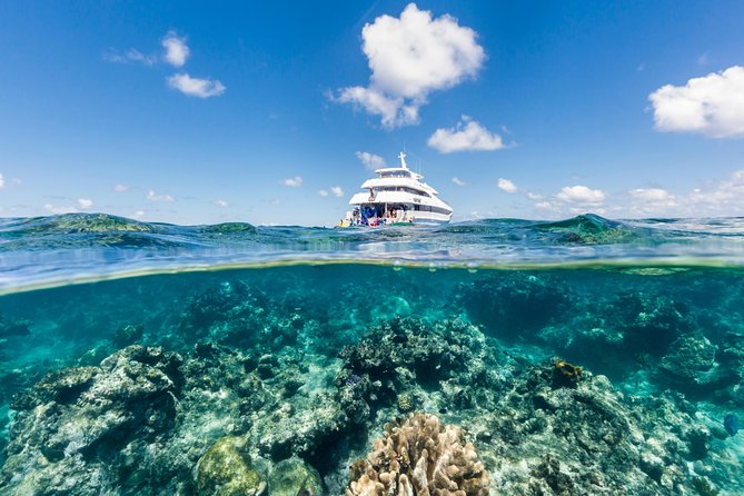 Great Barrier Reef Snorkeling and Diving Cruise from Cairns - Setting Out from Cairns at 8 a.m.