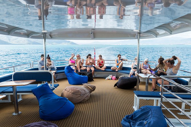 Great Barrier Reef Snorkeling and Diving Cruise from Cairns - Three Hours at Saxon or Norman Reef