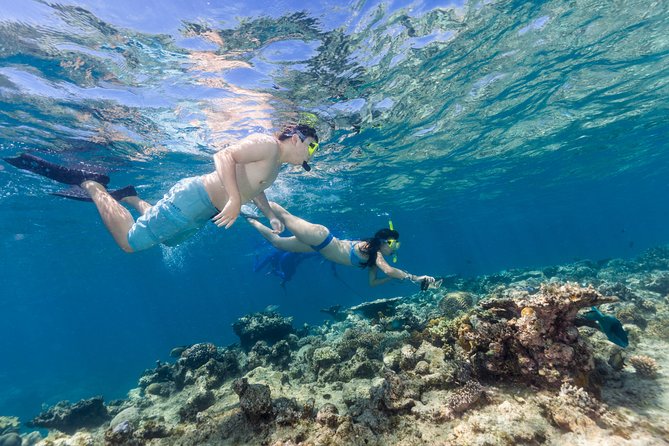 Great Barrier Reef Snorkeling and Diving Cruise from Cairns - What the Crew Does Well