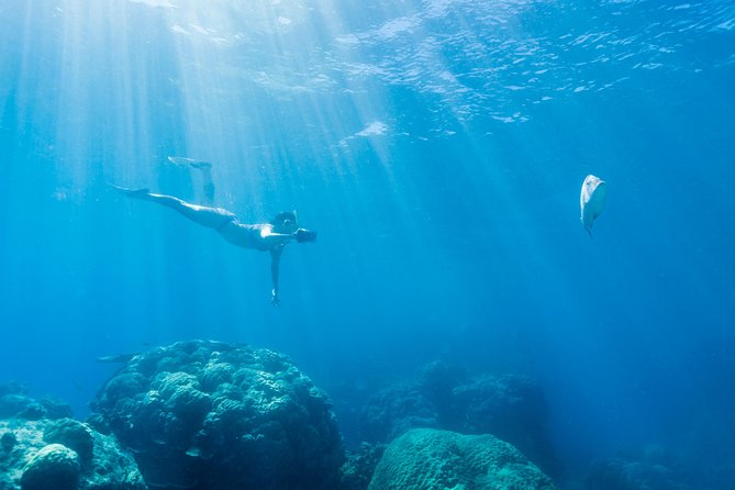 Great Barrier Reef Snorkeling and Diving Cruise from Cairns - Who Should Book This Reef Cruise?