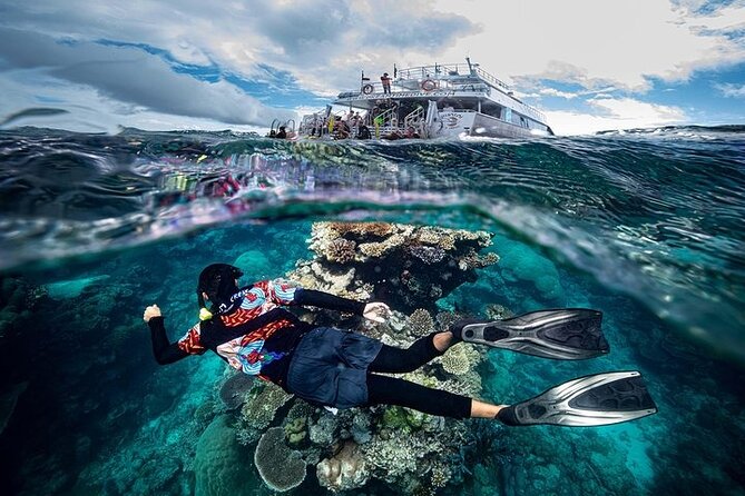 Great Barrier Reef with Cultural Guides-Dreamtime Dive & Snorkel - A reef trip with culture at its center