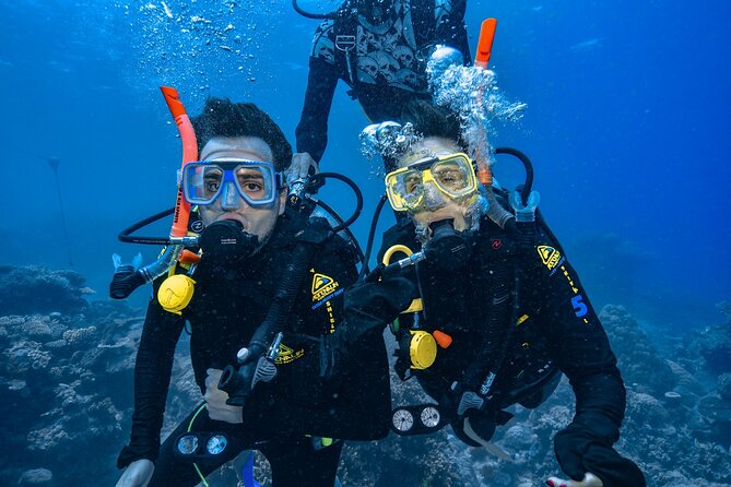 Great Barrier Reef with Cultural Guides-Dreamtime Dive & Snorkel - The value of the $165.68 price