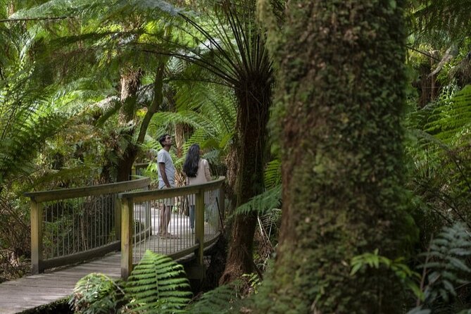 Great Ocean Road, 12 Apostles, Rainforest & Morning Tea-Melbourne - Anglesea and the Memorial Archway