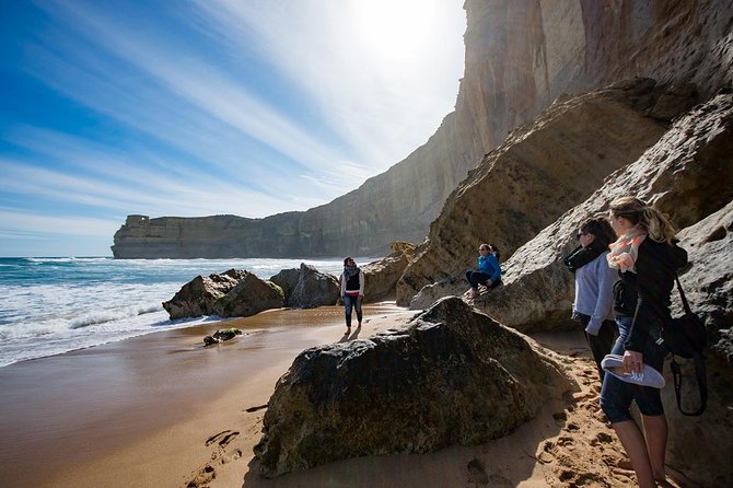 Great Ocean Road, 12 Apostles, Rainforest & Morning Tea-Melbourne - Great Otway National Park and the rainforest walk