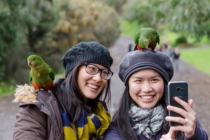 Great Ocean Road, 12 Apostles, Rainforest & Morning Tea-Melbourne - What the $107.59 price really covers