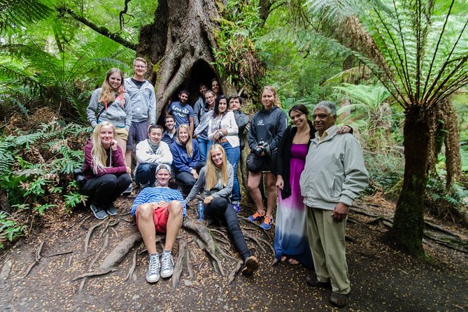 Great Ocean Road 12 Apostles & Rainforest Walk with Morning Tea - Into the Otways and the cool temperate rainforest