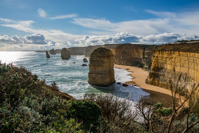 Great Ocean Road 12 Apostles & Rainforest Walk with Morning Tea - The 7:35 am start and Serendip Sanctuary