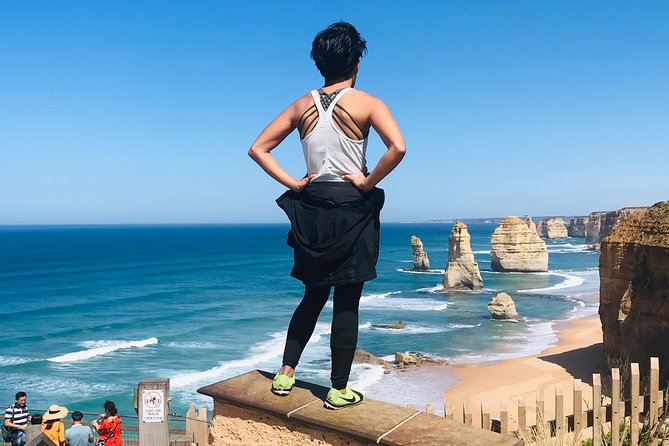 Great Ocean Road Reverse Itinerary Boutique Tour - Max 11 Guests - The Great Otway forest and Maits Rest