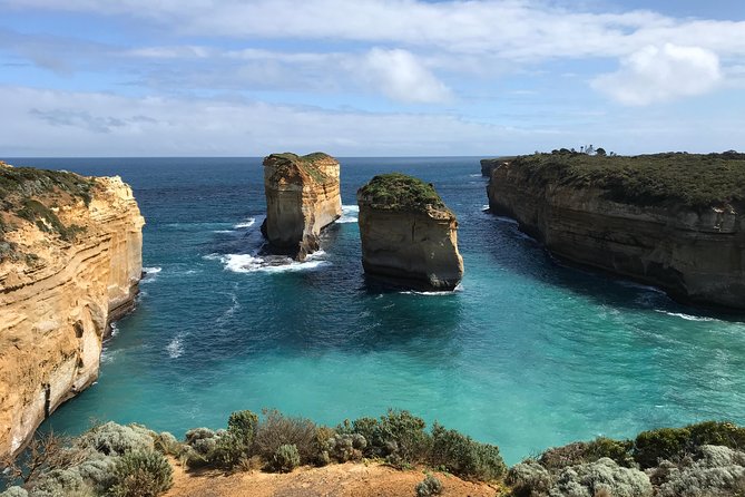 Great Ocean Road Reverse Itinerary Boutique Tour - Max 11 Guests - Kennett River and wildlife in the trees