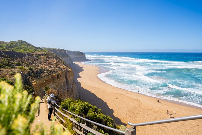 Great Ocean Road Reverse Itinerary Boutique Tour - Max 11 Guests - Teddy’s Lookout ends the coastal drive