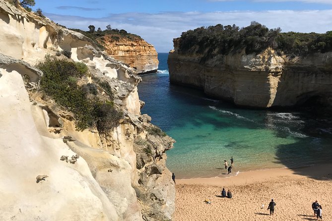 Great Ocean Road Reverse Itinerary PREMIUM Tour - Max 11 Guests - The Twelve Apostles and Gibson Steps