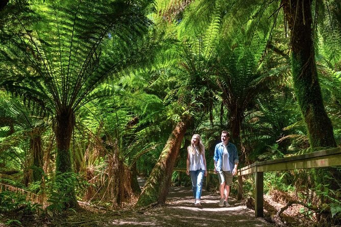 Great Ocean Road Small-Group Eco Tour from Melbourne - Apollo Bay gives you a break from the minibus