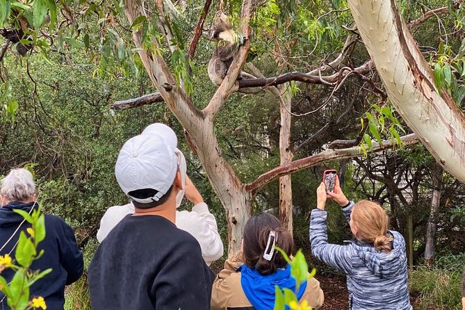 Great Ocean Road Small-Group Eco Tour from Melbourne - Loch Ard Gorge and the Shipwreck Coast