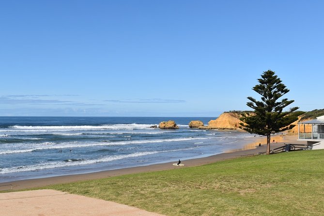 Great Ocean Road Tour Plus Koalas, Forest Walk and Morning Tea - Kennett River is the wildlife highlight