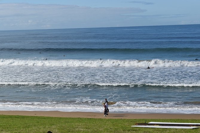 Great Ocean Road Tour Plus Koalas, Forest Walk and Morning Tea - Mait’s Rest gives you a short forest walk