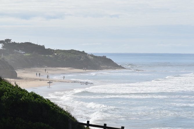 Great Ocean Road Tour Plus Koalas, Forest Walk and Morning Tea - Loch Ard Gorge is the strongest final stop