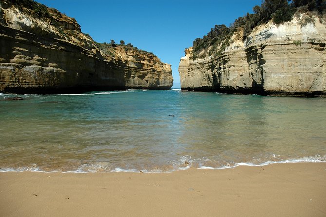 Great Ocean Road Tour Plus Koalas, Forest Walk and Morning Tea - Cape Patton and Apollo Bay bring the road into focus