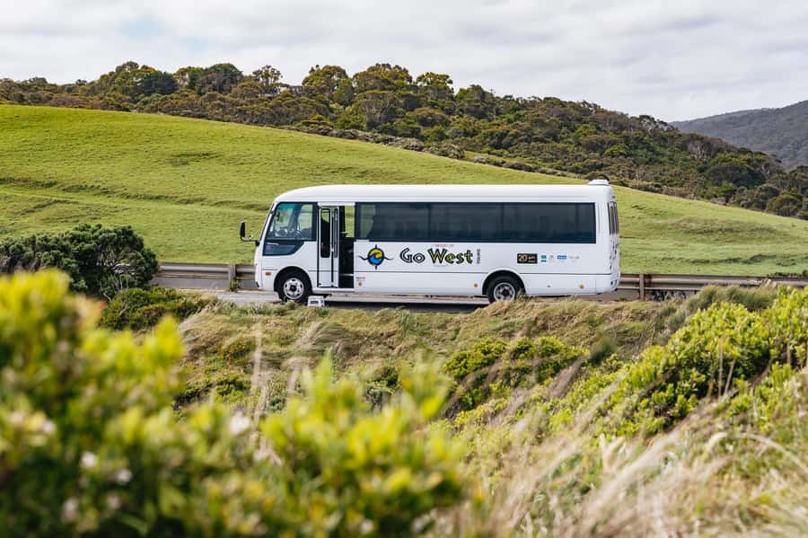 Great Ocean Road Tour w/ Deluxe Minibus & Top-Rated Guide - Kennett River and the search for wild koalas
