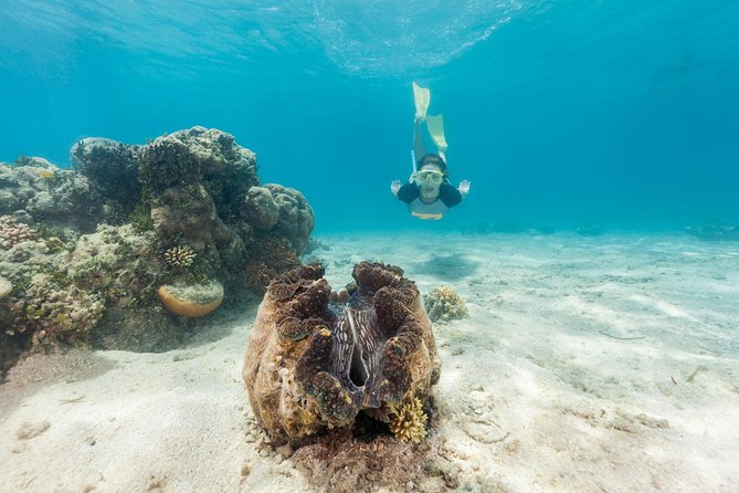 Green Island Day Trip from Cairns - Six hours to shape your own Green Island day