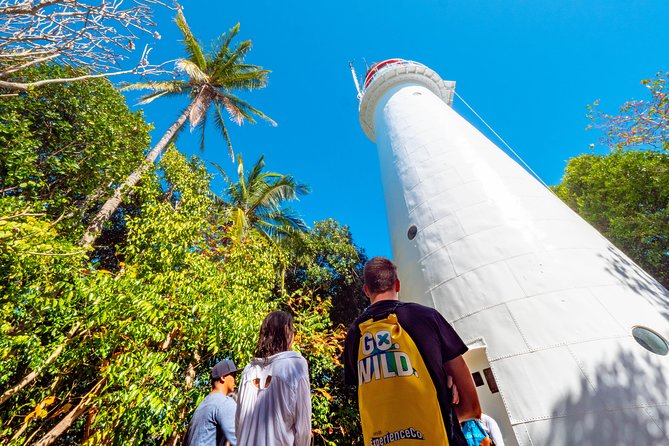 Half Day Low Isles Snorkelling Tour from Port Douglas - Key points to know before booking