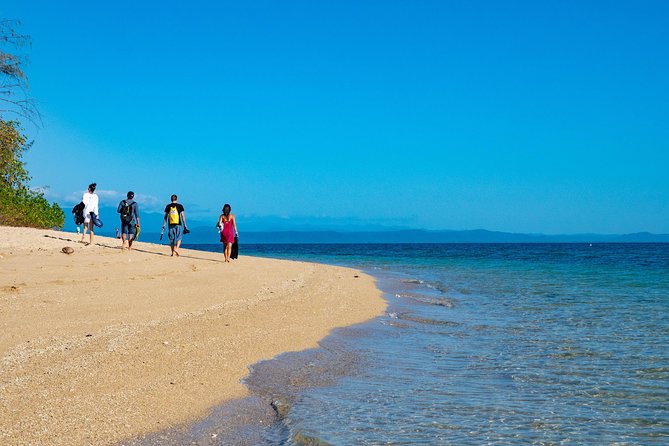 Half Day Low Isles Snorkelling Tour from Port Douglas - Reaching Low Isles from Port Douglas