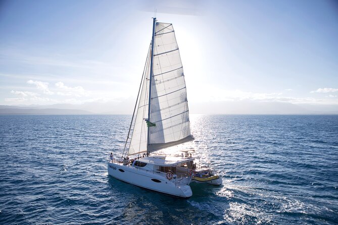 Half Day Low Isles Snorkelling Tour from Port Douglas - Timing, weather, and the effect on your experience