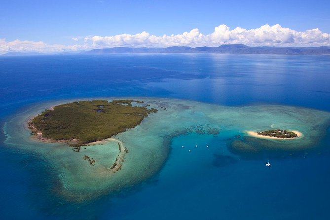 Half Day Low Isles Snorkelling Tour from Port Douglas - Who should choose this half-day outing