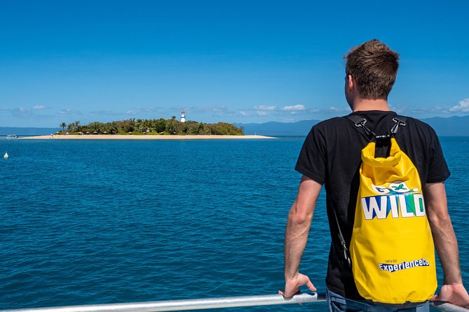 Half Day Low Isles Snorkelling Tour from Port Douglas - Why the glass-bottom boat adds real value