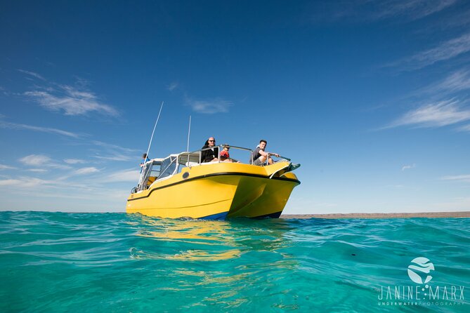 Half Day Snorkel 2.5hr Turtle Tour on the Ningaloo Reef, Exmouth - From Exmouth town to the departure point