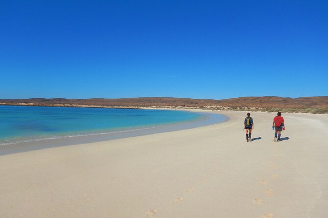 Half Day Snorkel 2.5hr Turtle Tour on the Ningaloo Reef, Exmouth - Gear, snacks and the wetsuit question