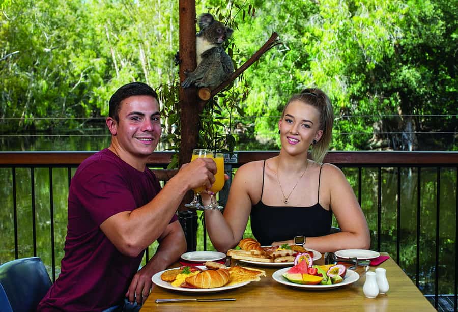 Hartley's Crocodile Adventures: Hartley's Koala Breakfast - The 30-minute koala encounter
