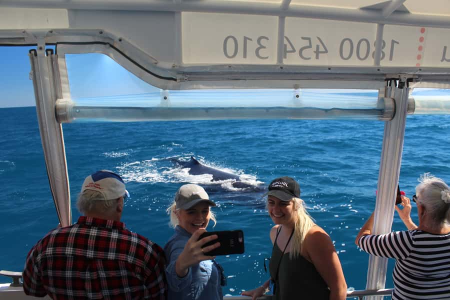 Hervey Bay: Ultimate Whale Watching Experience - Setting out from Great Sandy Straits Marina